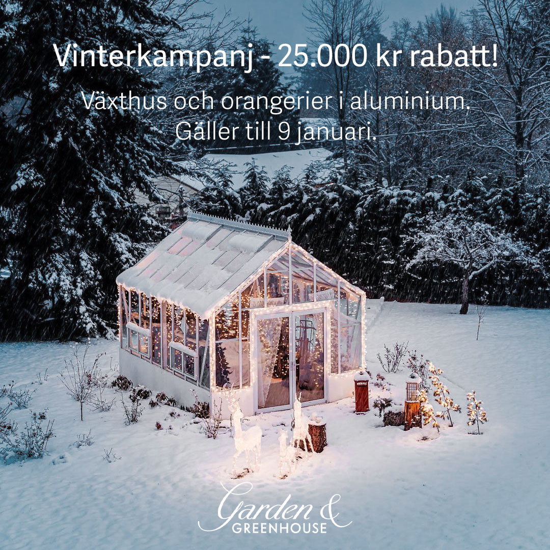 Winter 2025 1080x1080