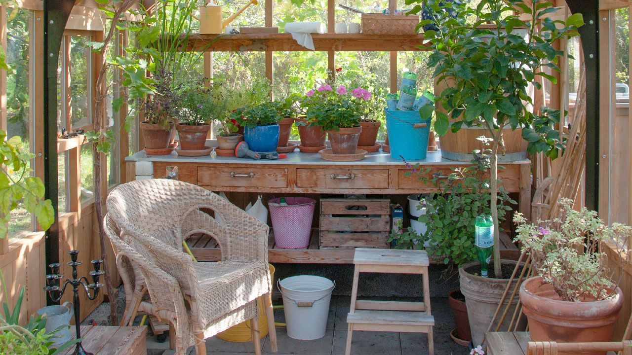 Orangeri Kingsbury interiör